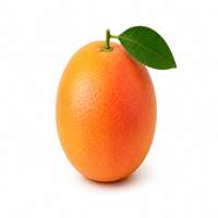 Grapefruit — fragrance ingredient