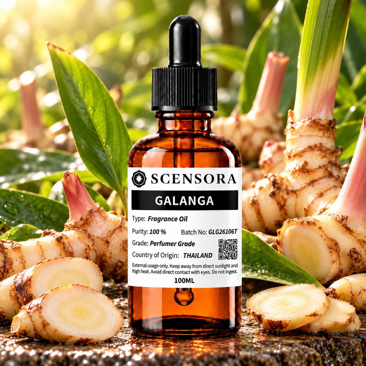 Scensora Galanga fragrance oil, perfumer-grade, 100ml to 5kg