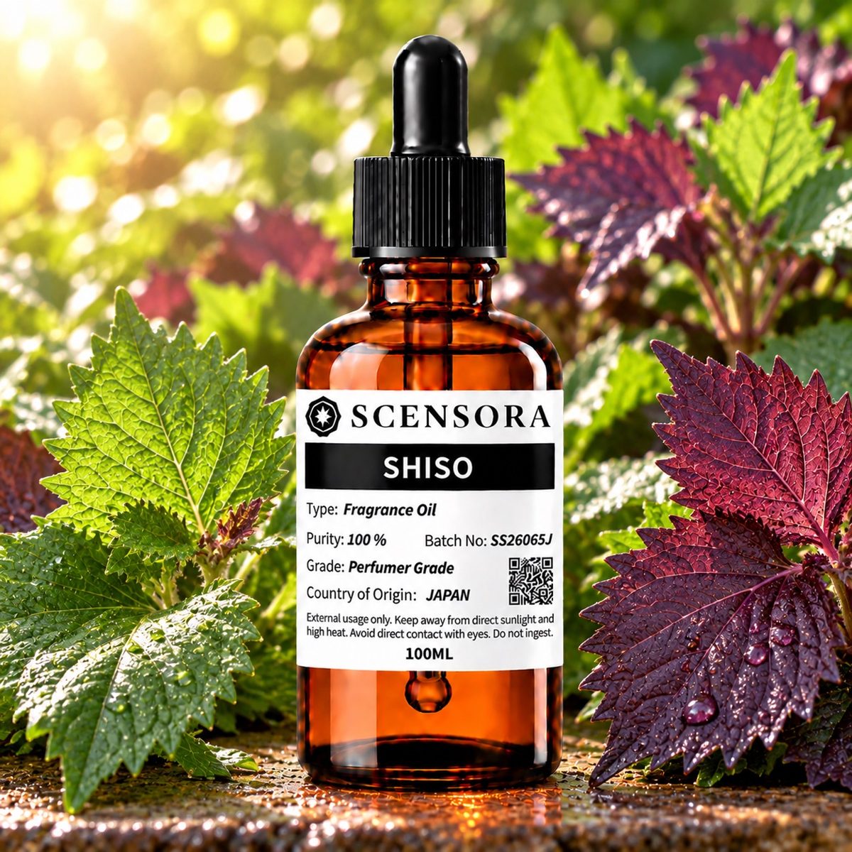 Scensora Shiso fragrance oil, perfumer-grade, 100ml to 5kg